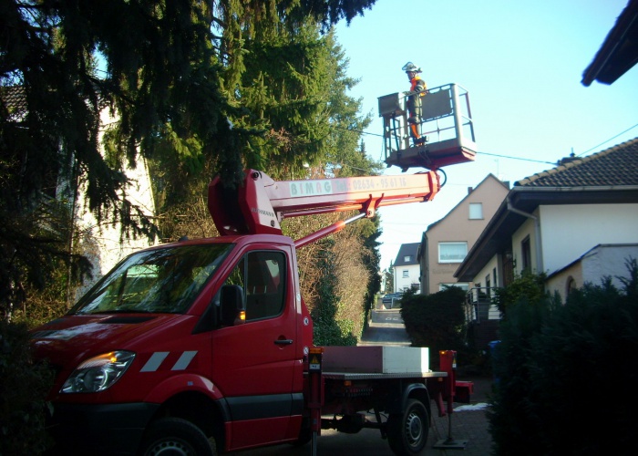 DSCI0636
