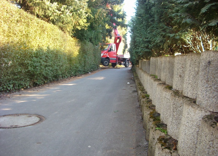 DSCI0681