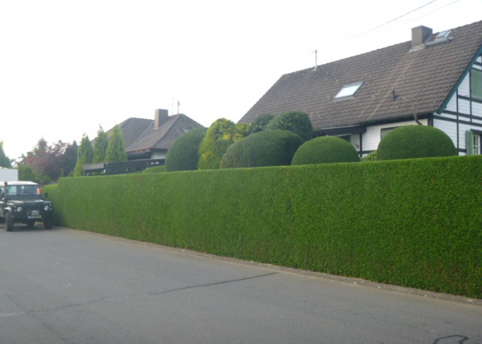 P1040432