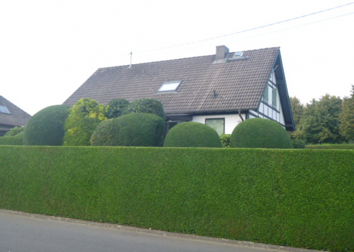P1040433